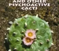 PEYOTE